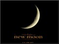 New Moon fanmade poster